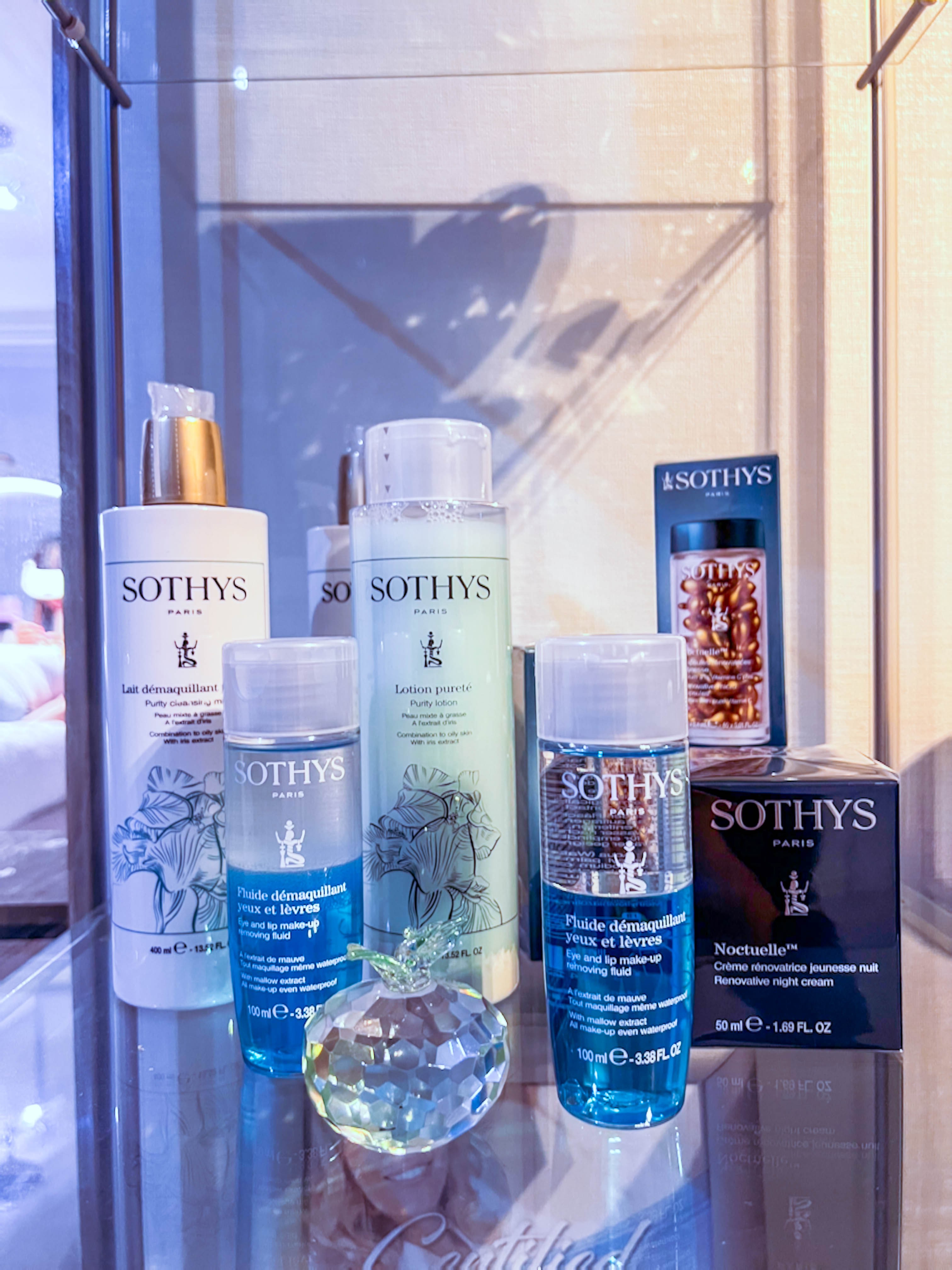 Person harvesting tomatoes